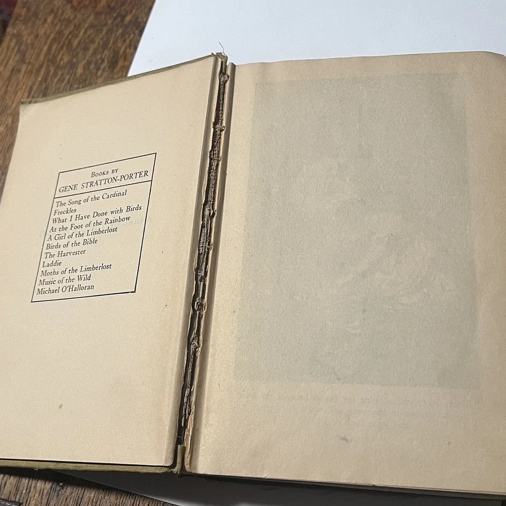 A Girl Of The Limberlost Gene Stratton Porter 1909 Hardcover 1st Edition Book